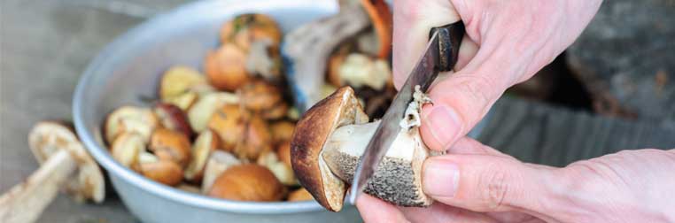 comment nettoyer et préparer des champignons ?