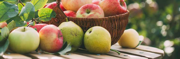 Recette pomme poire : comment cuisiner ces fruits du quotidien??