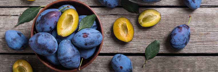 Variétés de prunes : des fruits savoureux aux multiples atouts