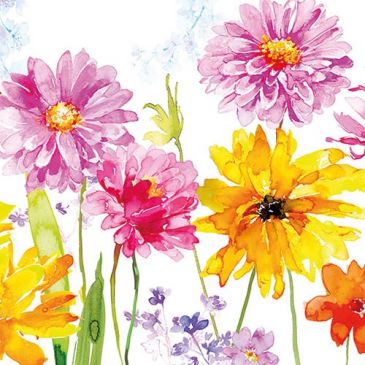 Vaisselle & serviettes jetables Serviettes - AMBIENTE