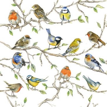 Vaisselle & serviettes jetables Serviettes - AMBIENTE